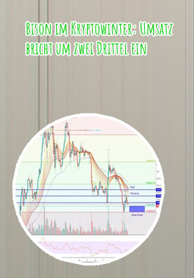 Bitcoin kurs bison